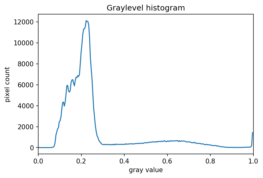 Maize root histogram