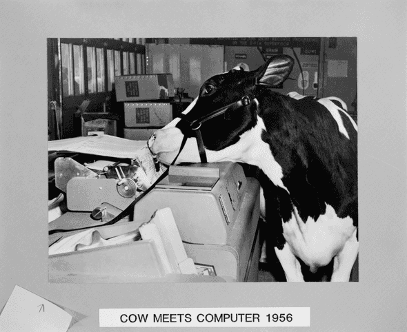 Cow Meets Computer. From https://digital.library.cornell.edu/catalog/ss:550668